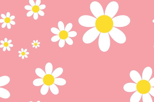 Blossom Daisy Pattern Printable. Vintage Seamless Pattern Background Granny Style. Patchwork Flowers.