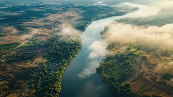 Aerial view of river and forest in the morning photo