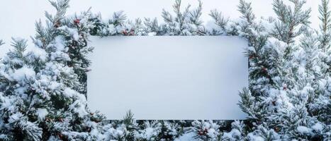 blank billboard surrounded by snow covered pine branches creates serene winter scene. frosted greenery and red berries add festive touch, perfect for holiday themes photo