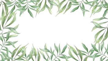 Watercolor tropical green leaves horizontal frame isolated background. Oleander branches illustration. Olive plant rectangle border with copy space with text. Eucalyptus foliage. For invitation vector