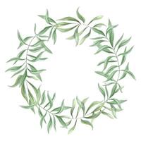 Eucalyptus or oleander foliage watercolor wreath with empty space for text or design. Hand painted ivy leaves botanical illustration for invitation, label, and social media template. Round frame vector