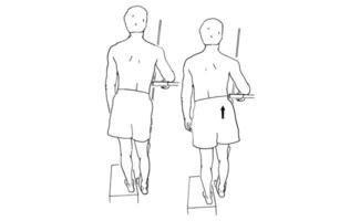 Hip Hike Exercise on Step Strength Training for Core and Hip Stability vector