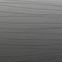 grey Wood Texture Background vector