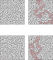 Complex Square Mazes Solutions and Paths, Puzzles and Challenges vector