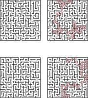 Complex Maze Puzzles Solutions and Paths Illustrated vector