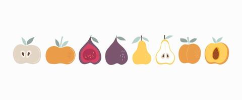 Fig, apple, pear, peach. A set of slices and whole abstract fruits. Vitamin natural vegetarian food. Color flat illustration, graphics. Isolated white background. vector