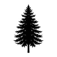 single pine tree , illustration on white background. pine tree silhouette. vector