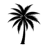one palm tree silhouette illustration on white background. palm tree , silhouette vector