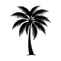 palm tree silhouette , illustration on white background. vector