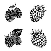 Wild Raspberry Fantasy vector