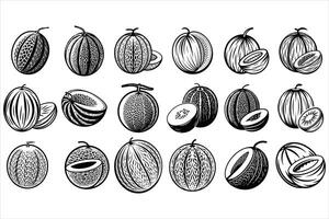 Creative Recipes Using Cantaloupe vector