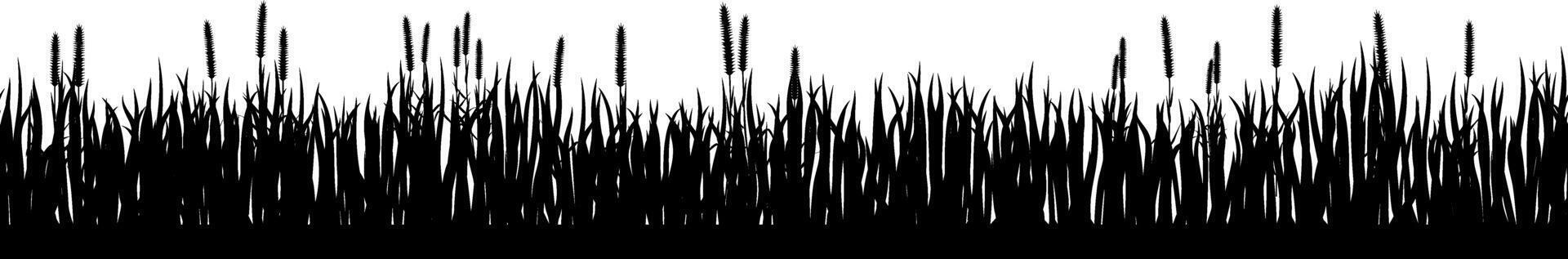 Horizontal seamless silhouette of grass and cattails creating a natural border, perfect for nature themed designs and ecological projects