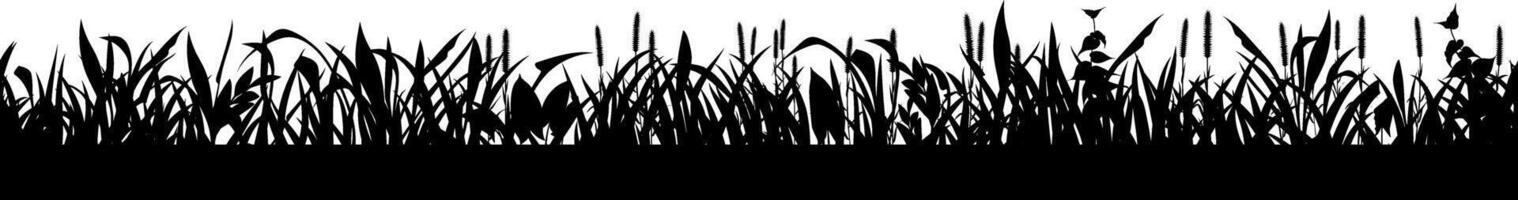 Horizontal seamless illustration of swamp vegetation creating a natural border, ideal for nature themed designs or environmental projects vector