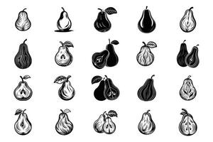 How to Store Pears for Maximum Freshness vector
