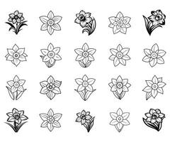 The Brightness of Daffodils vector