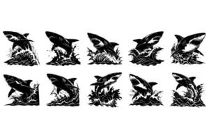 Protecting the Great White Shark for Future Generations vector
