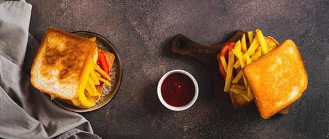 Crispy sandwich with french fries and tomato on a board on a table top view web banner photo