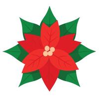 Red Poinsettia Flower with Green Leaves, Round Center on White Background vector