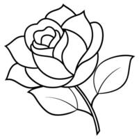Outlined Rose with Leaves, Black Contours Isolated on Transparent Background vector