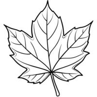 Maple Leaf Outline Isolated with Transparent Background, Detailed Veins vector