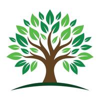 Isolated Green Leaf Tree with Brown Trunk and Branches on White Background vector