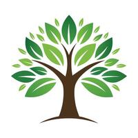 Simple Tree with Green Leaves and Brown Trunk on White Background vector