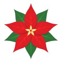Cartoon Red Poinsettia with Green Leaves and Golden Center on White Background vector