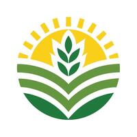 Circular Field with Wheat, Green Rows, Sun, and White Background vector