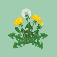An artistic representation of a fully blossomed dandelion highlights its soft yellow petals and fluffy seed head, rich in vibrant colors that capture the essence of spring and the spirit of renewal. vector