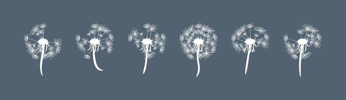 A stunning illustration showcasing a collection of fluffy dandelion silhouettes with seeds against a dark background, creating a beautiful and enchanting visual display of natures elegance. vector