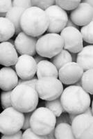 Roasted Macadamia Nuts, Close View Background creative background photo