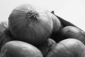 Red Onions Background creative background photo