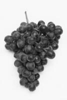 Bunch of Black Muscatel Grapes, Close View Background creative background photo