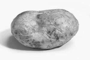Jacket Potato Background creative background photo