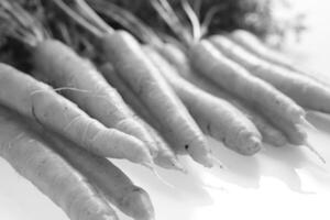 Fresh Carrots on a White Background creative background photo