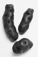 Congo Potatoes Close View Background creative background photo