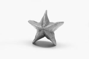 Star Fruit on White Background creative background photo