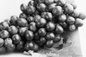 Red grapes close view background creative background photo