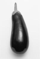 One Eggplant on White Background creative background photo