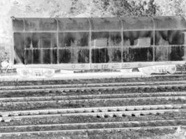 Train on Railway Track with Rolling Stock and Surrounding Plant Life creative background photo