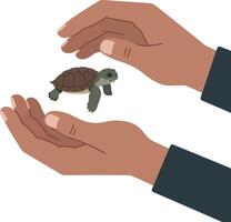 Hands gently cradling a baby turtle in a caring gesture, flat illustration vector