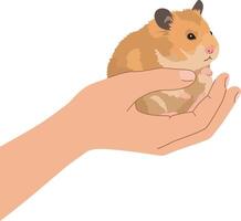 A cute hamster resting in an open hand, minimal style illustration vector