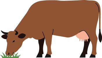 Brown cow grazing on green grass in a flat style illustration vector