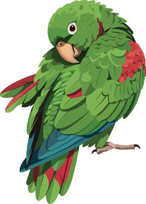 Colorful green parrot preening its feathers in a flat art style