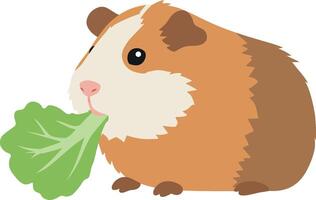 Cute guinea pig enjoying fresh lettuce in a flat, colorful illustration vector