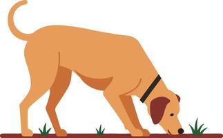 A golden dog sniffing the ground in a minimal flat illustration vector