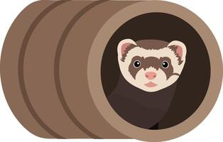 A playful ferret peeking out from a wooden tunnel in a flat illustration vector