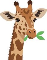 Giraffe with Green Leaves in Flat Design Style Art vector