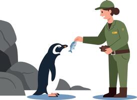 A zookeeper feeding a penguin with a fish in a flat illustration vector