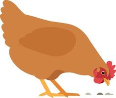 A brown hen pecking at the ground in a flat, minimal illustration vector